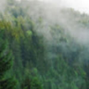 Meet your Posher, Sean